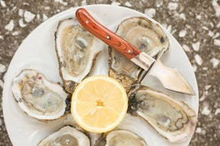 The Carolina Shucker