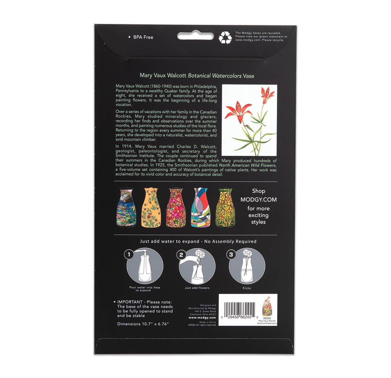 Mary Vaux Walcott Botanicals Expandable Vase