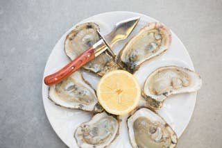 The Carolina Shucker