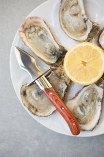 The Carolina Shucker