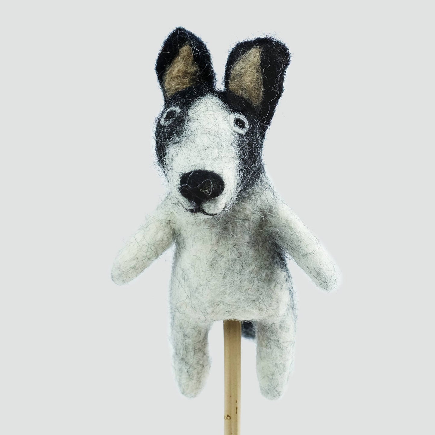 Finger Puppets - Cats and Dogs