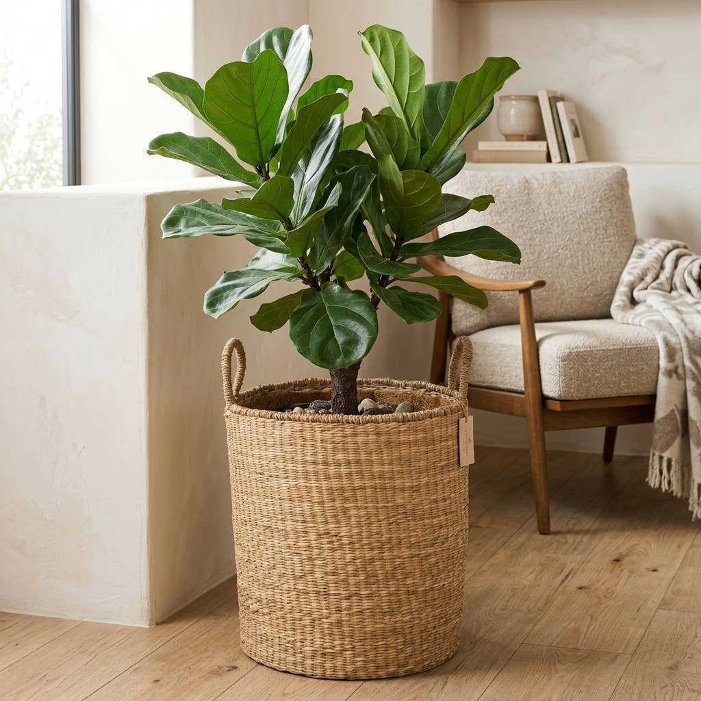 Classic Seagrass Floor Basket with Handles – 2 Sizes: Small