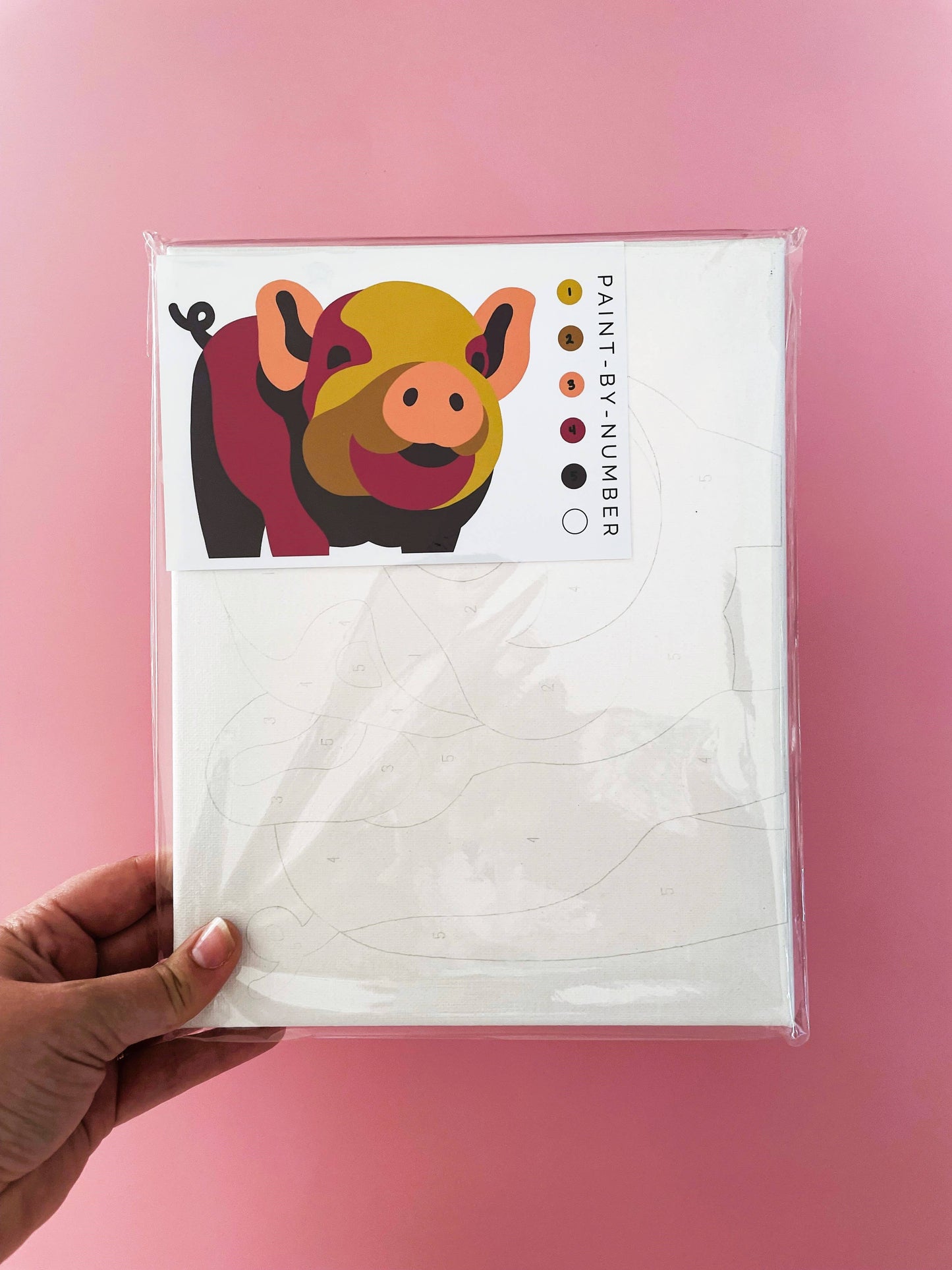 Pig Paint-By-Number