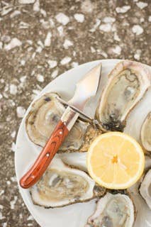The Carolina Shucker