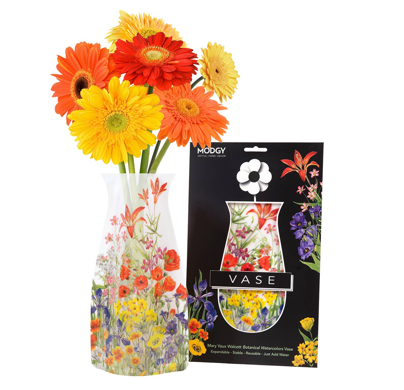 Mary Vaux Walcott Botanicals Expandable Vase