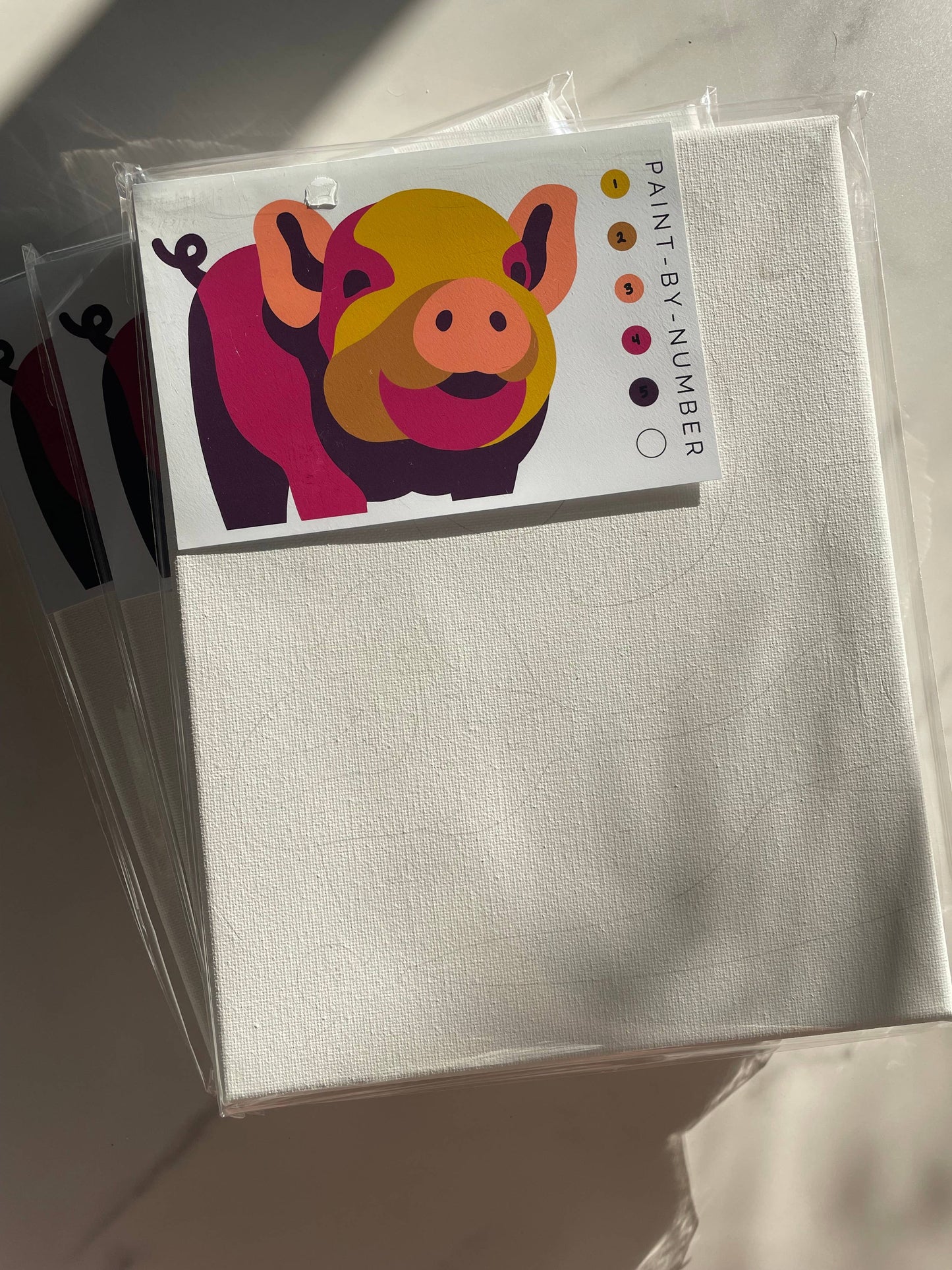 Pig Paint-By-Number