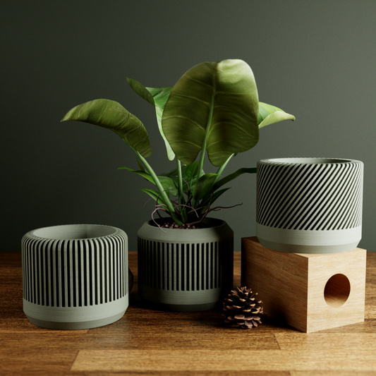 BAMBOO Planter Set: Muted Green