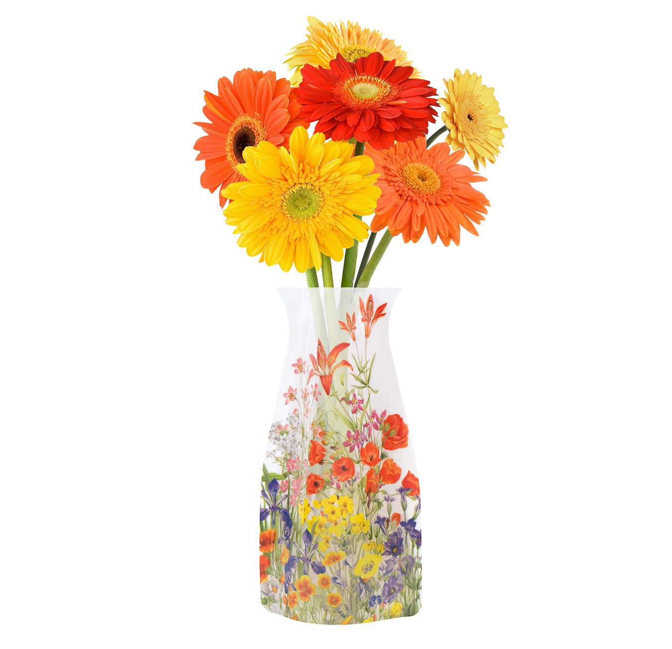 Mary Vaux Walcott Botanicals Expandable Vase