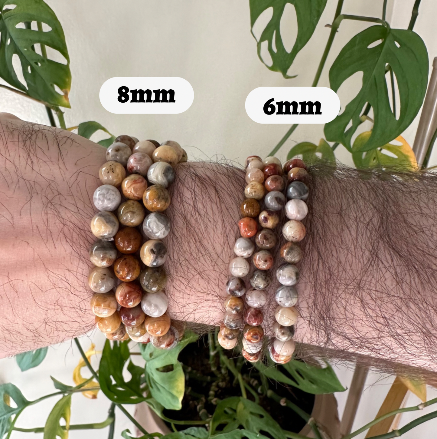 Crazy Lace Agate Bracelet 8mm or 6mm - Crystals & Stones: 8mm