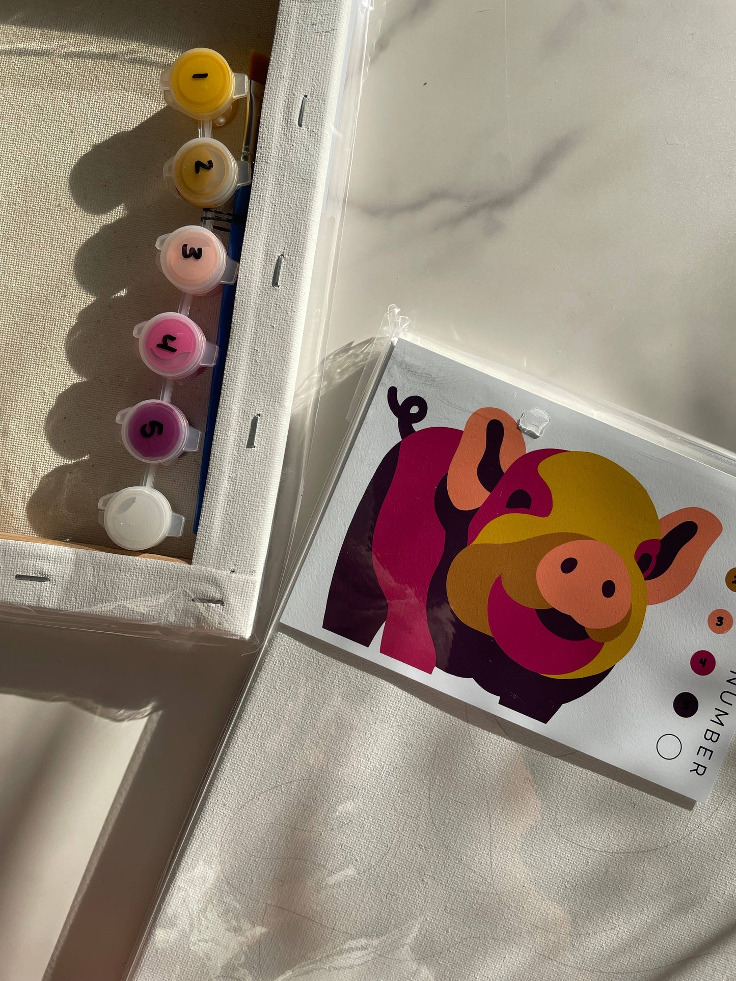 Pig Paint-By-Number